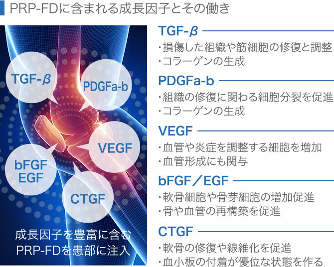 PRP-FDに含まれる成長因子とその働き